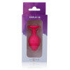 Plug Anale Intense 5